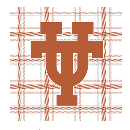 *PRE-SALE* University of Texas - Vintage Logo Plaid Full Color Napkins