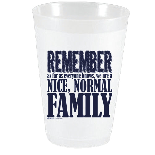 Remember We are a Nice Normal Family FF